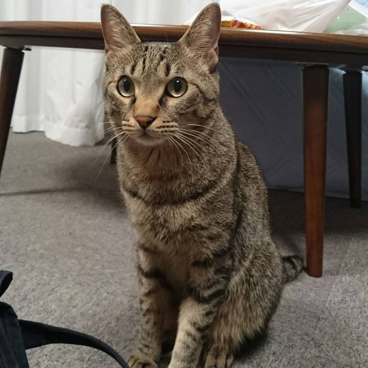 F2a5c82a ab1b 4021 975b d0b997510d3e