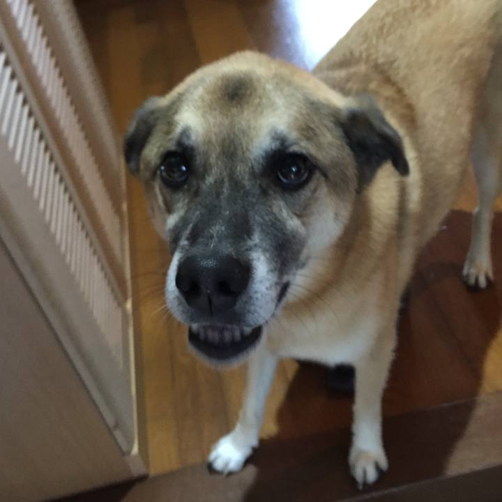 F2a5dece 61d2 4352 88f1 59303b7d688c