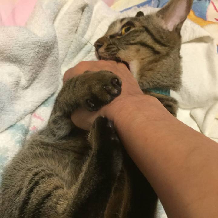 F2a61c0d 9e90 418c a09f 9f457117eb67