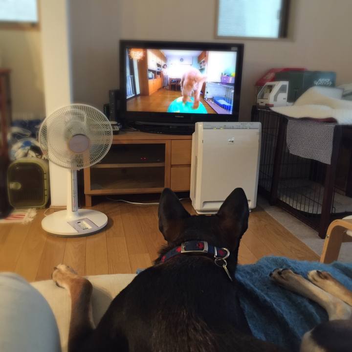 F2a636a6 a8d1 4d66 9e10 60c7ad9edf5d