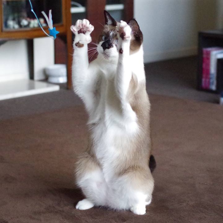 F2a6bf2d 452c 49b0 9e06 f2b720c400f1