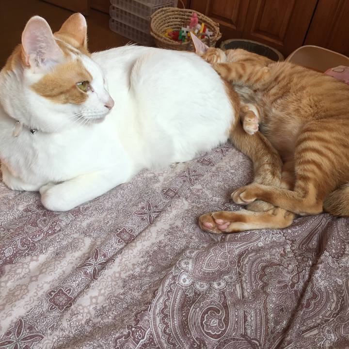 F2a6bf2e 402b 419e a90f 22b5d9e2ef1f