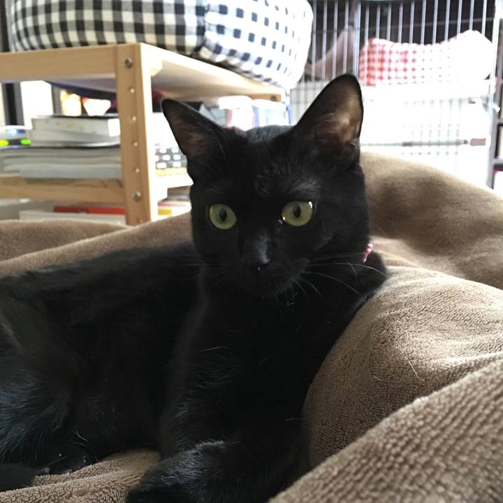 F2a7c493 1736 44ea a993 ee119f4b0edf