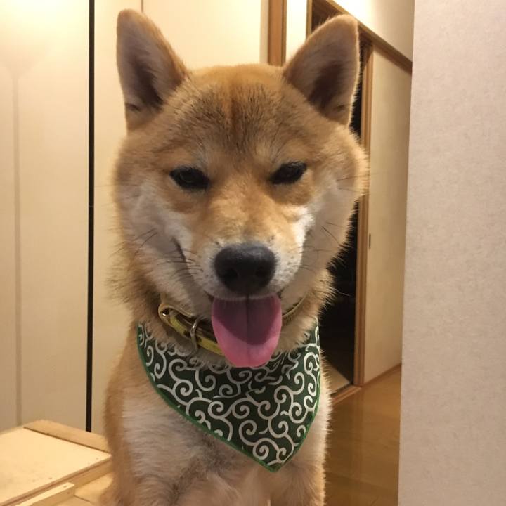 F2a7debc dae8 44ab 8a0f 06676378746a