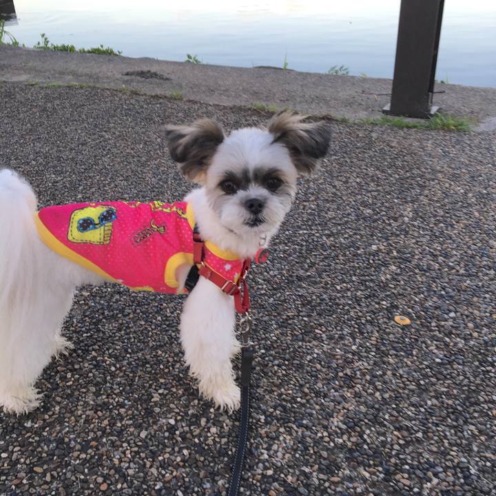 F2a7e0d4 951f 4253 9cf8 a0cc609d4bd7