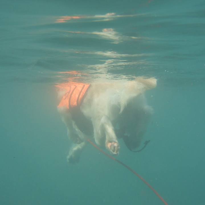 F2a81eb1 4cc3 44cc 93df 221ee911e525