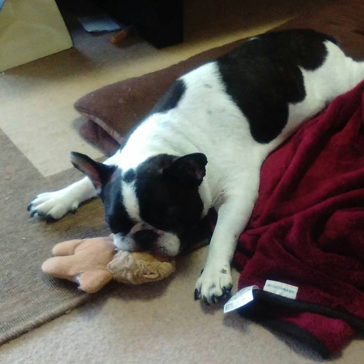 F2a84481 a1e9 4070 94cb 0d30e32d4614