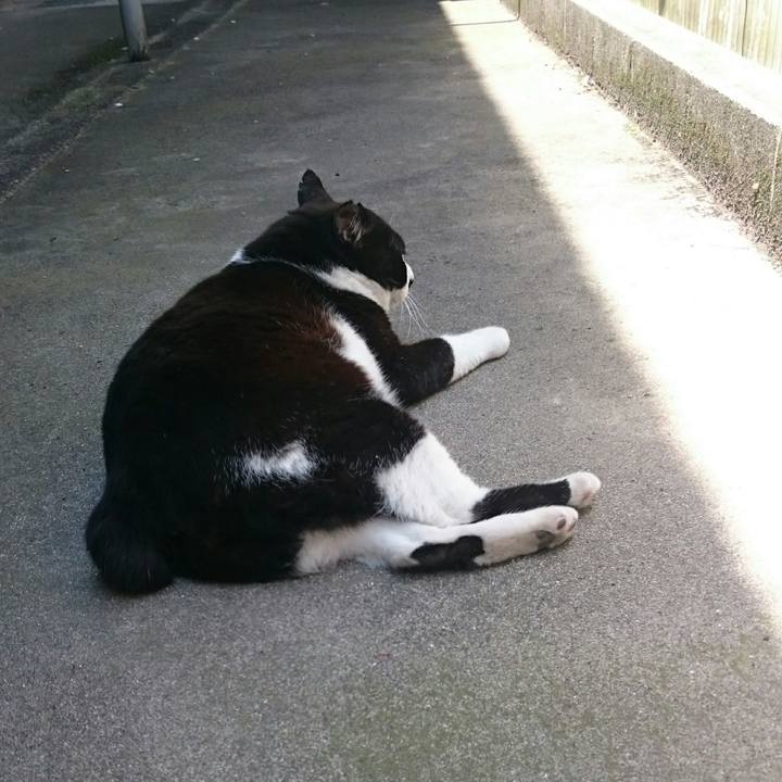 F2a8673c ed88 4057 bb06 cbc8488aa2b1