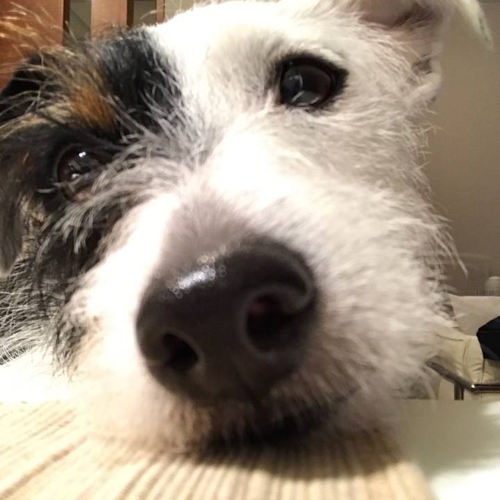 F2a8d030 fcb9 4f42 8d77 29cfc8bbea7a