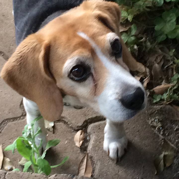 F2a8d2e6 87fd 4e3f 9a81 18a9cc4a0c7f