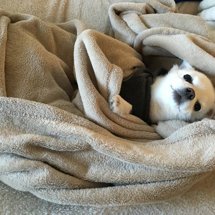 F2a8e245 89cb 4e69 9554 f486380082db