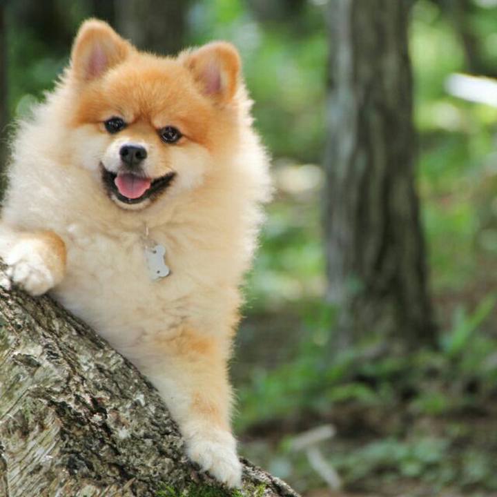 F2a913c4 5852 4120 afe7 db33312644fd