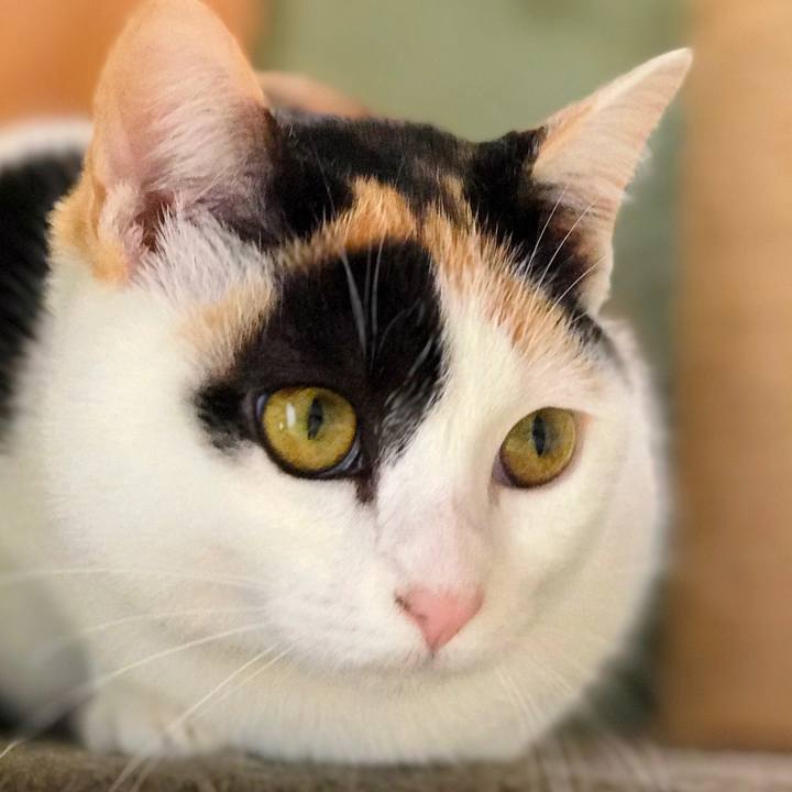 F2a936b2 deed 4c05 afa8 cee3e553c3dd