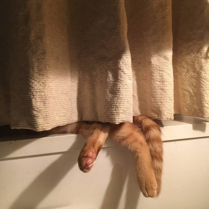 F2aa2f64 ee24 4fe4 9c23 12d92ec0dd77