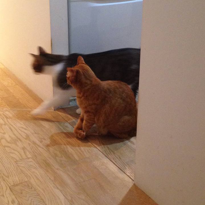 F2aaae92 ca6a 41ef ae0f 105da737c8d7