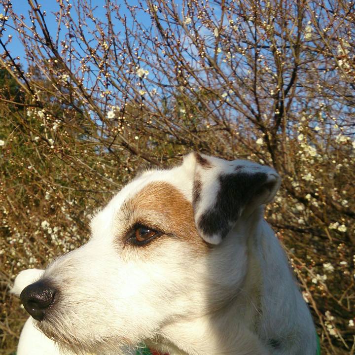 F2aaf7c0 920e 4e81 95cf 792ef62b2f80