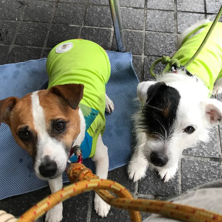 F2ab06e9 90b8 4cac a3e4 e0b3b3968b58