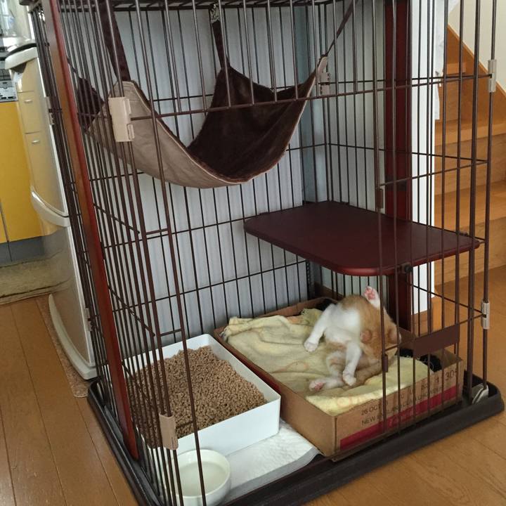 F2ab111f 324d 4472 a442 e3f2f70e46f8