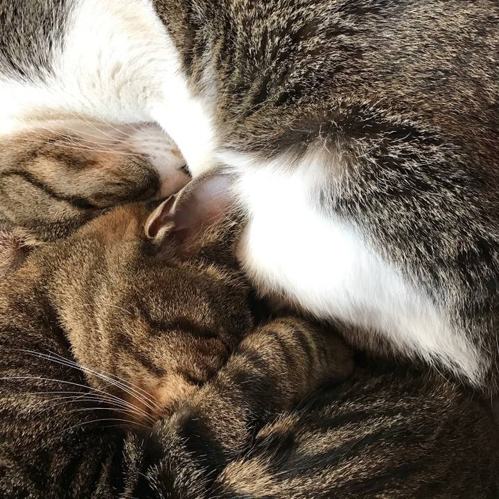 F2ab5cf2 8127 4dbe a2b6 686bbf78bf93