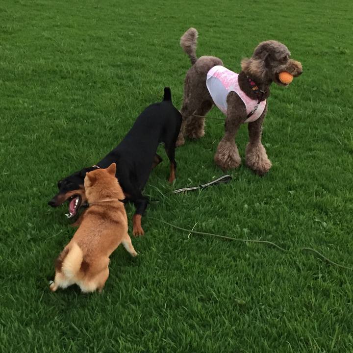 F2ab687b 709f 461f 85f4 b8e52798f471