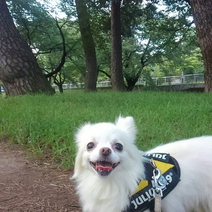 F2ab7173 0be4 4538 849e a7b4caed8a05