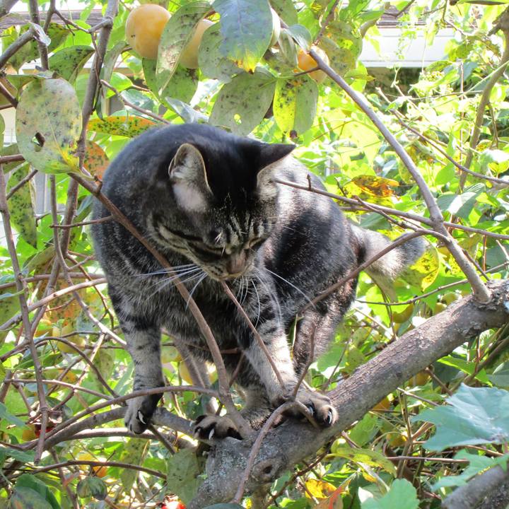 F2ab9029 6a92 4f9c 8f20 a994c9acc46c