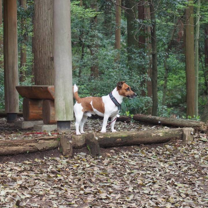 F2abfe67 749b 4c37 9386 47bfdfd0d51a