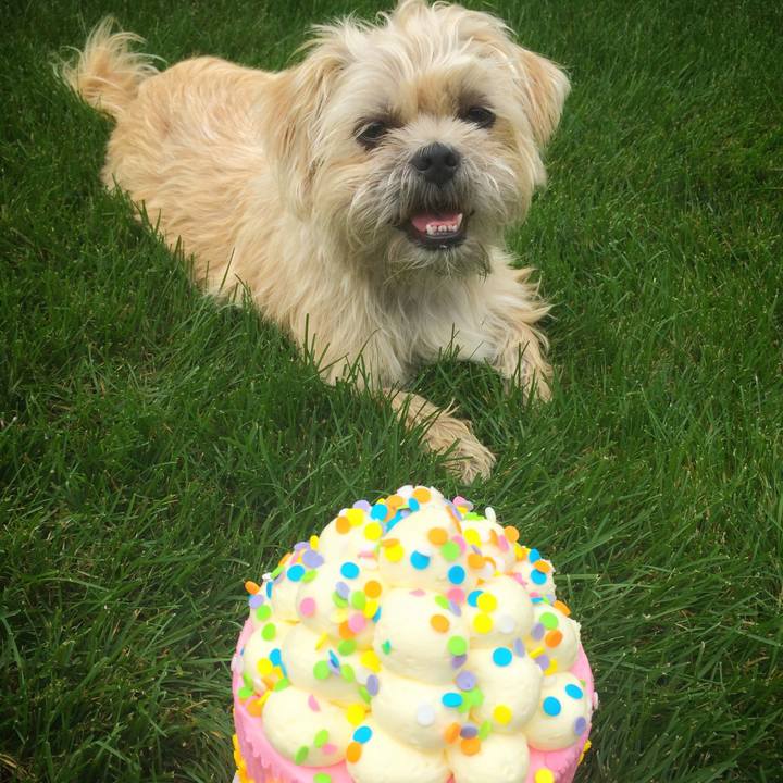 F2ac0107 0a30 4538 b217 7f37a7ab0871