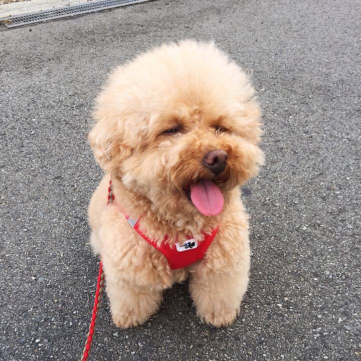 F2ac0121 aed6 432b 80ef 3aef10e3c187