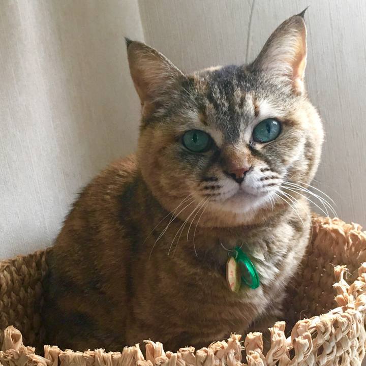 F2ac1584 bf66 481b 9c7c 76ce65d6ce95