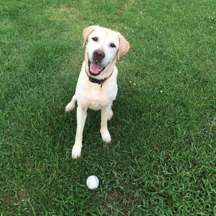 F2acb69f beaa 40e0 a9b5 3bd0e7543287