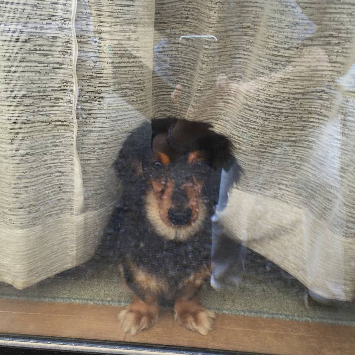 F2ad1990 c144 4881 a7bd a377b518c21f