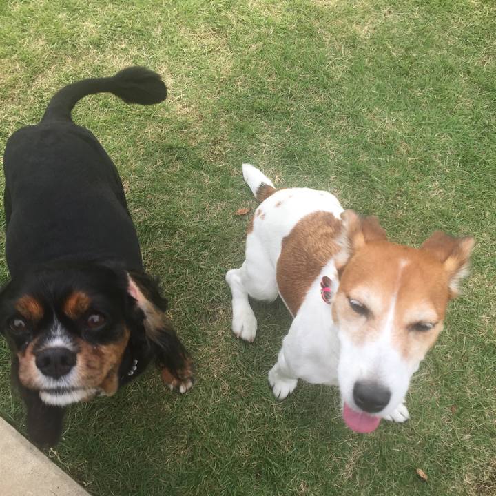 F2adb28a 4abb 4ee1 bf4c 543ae3374bde