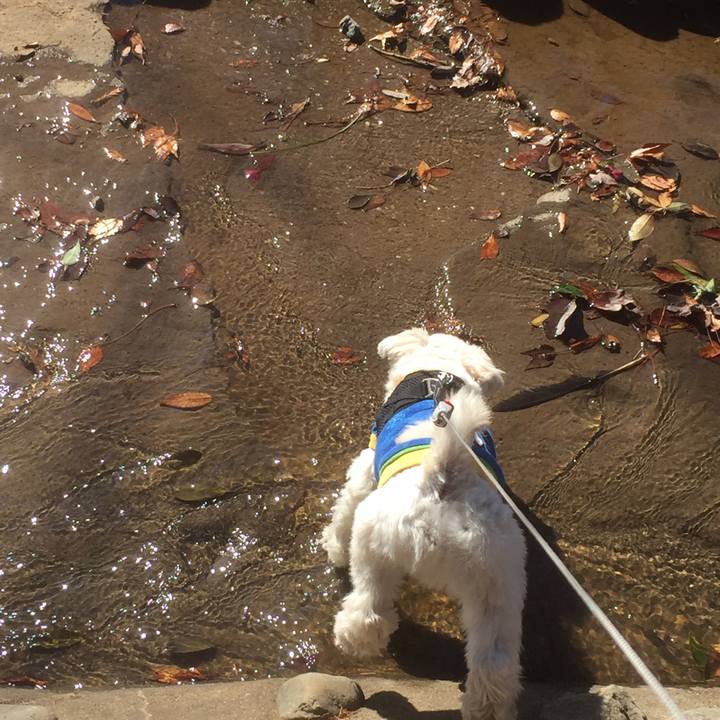 F2adc863 a807 4d65 aae4 35fd7e1cf6e5