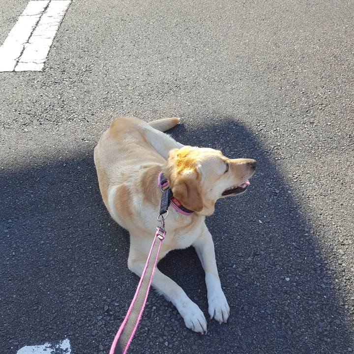 F2adda03 d8c7 4136 9edf fc34abfbd1f1