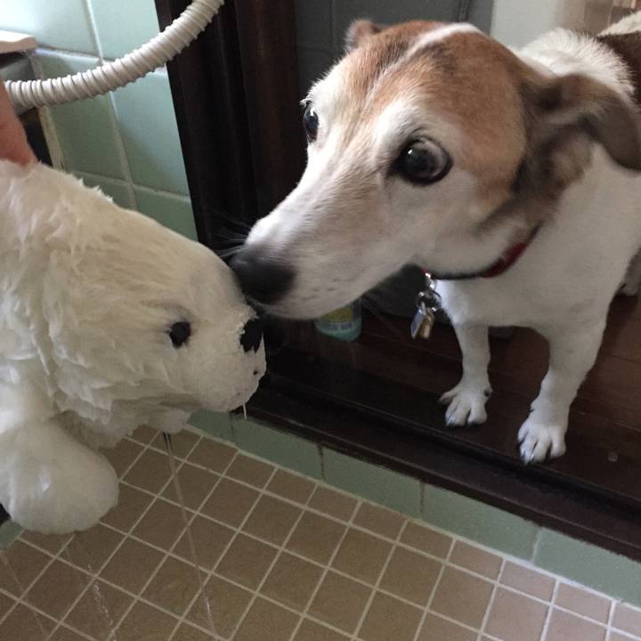 F2ae0c46 c2dc 4c11 b3b3 0e0f2b235c6e