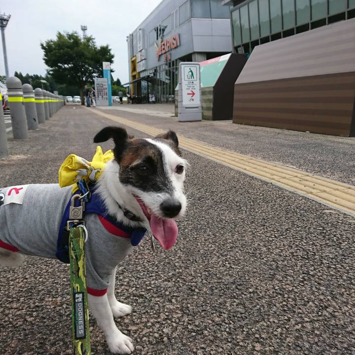 F2ae19f9 6772 4b01 8a63 e7172c93f74f