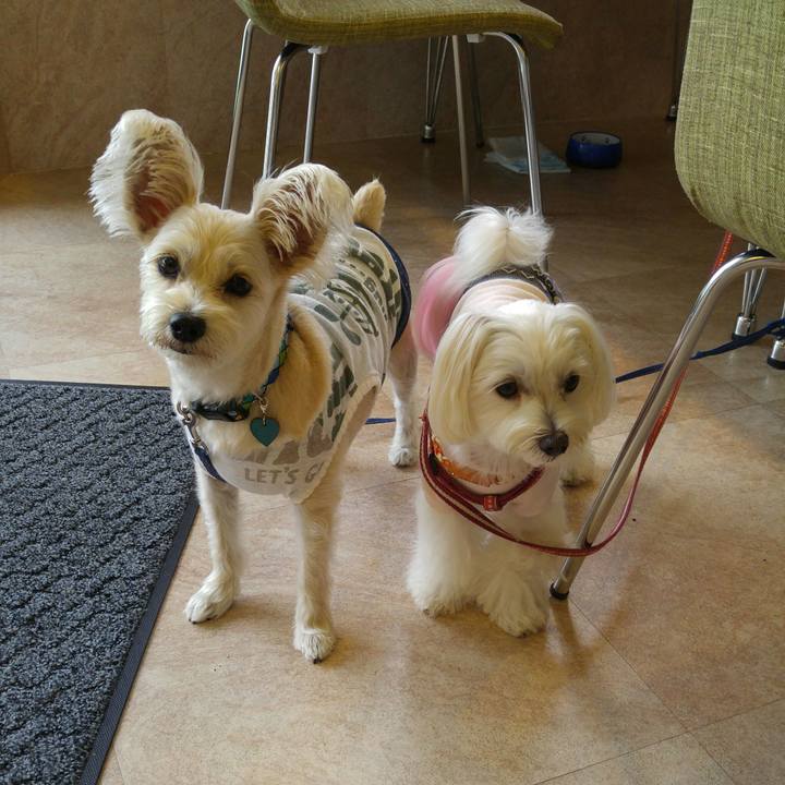 F2aeaaa5 83b6 40bb a87f 2a4af0eee7c7