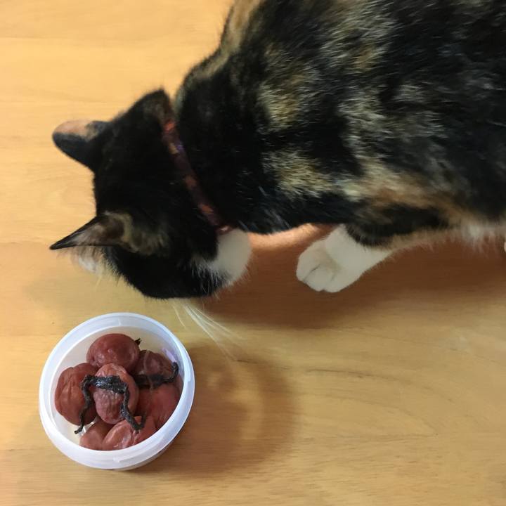 F2af4755 551a 426f 890f 68571fc436c1