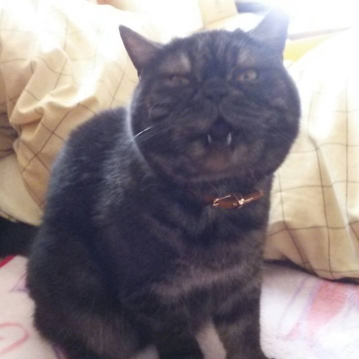 F2aff7a8 199e 476d 976e a99c5a31319d