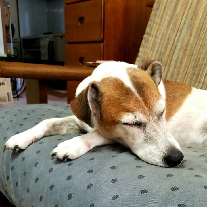 F2b056da 4b81 4502 ae21 47b2b776a895