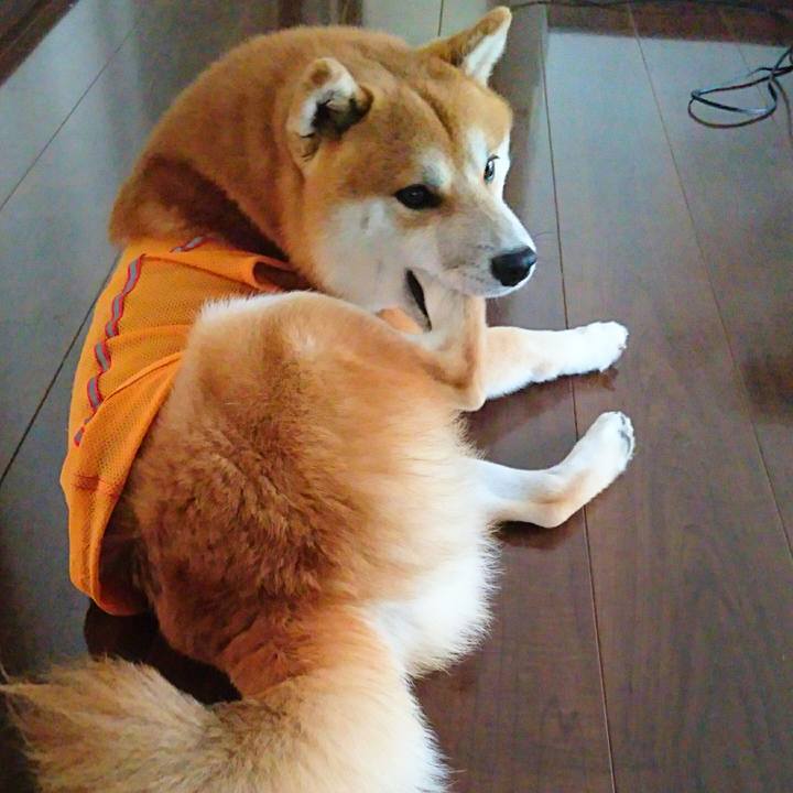 F2b05e77 ac21 4823 a120 1b42c7c9c962