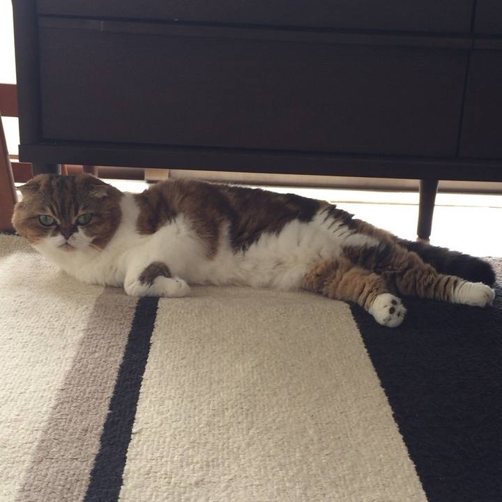 F2b0f190 eb26 4868 9d9e a532614c80a9