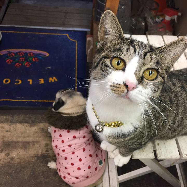 F2b11b6c 825c 42be 986d 392e998d7ed0