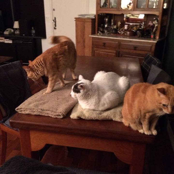 F2b22d92 5b49 4e34 a881 2d9032c5785d