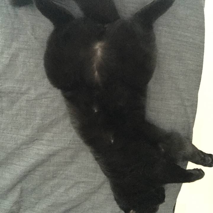 F2b23700 c29d 49f3 99e0 9f4400dee088