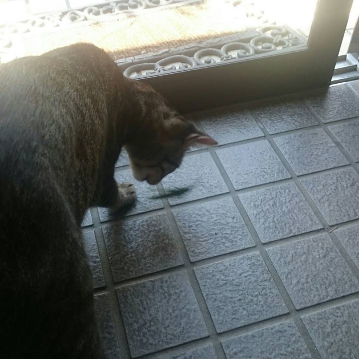 F2b37ccc e581 47e5 99cf eb6f9d83cd07