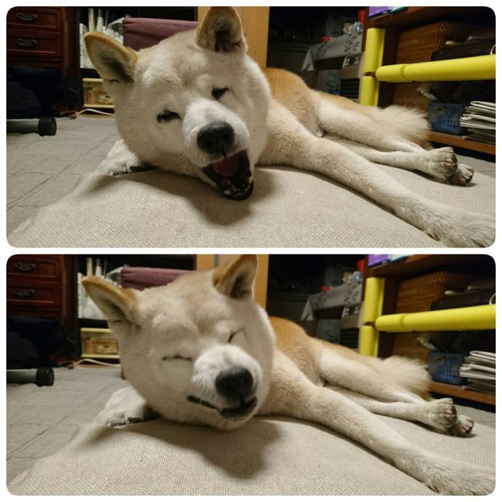 F2b42745 4750 4029 8d9d 27e10f1ddb11