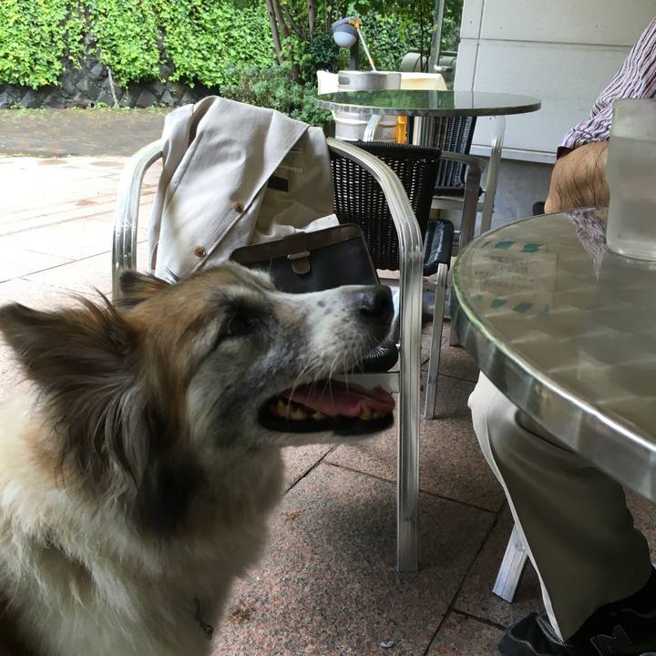 F2b47722 5c70 44ee a479 49805bdff7f6