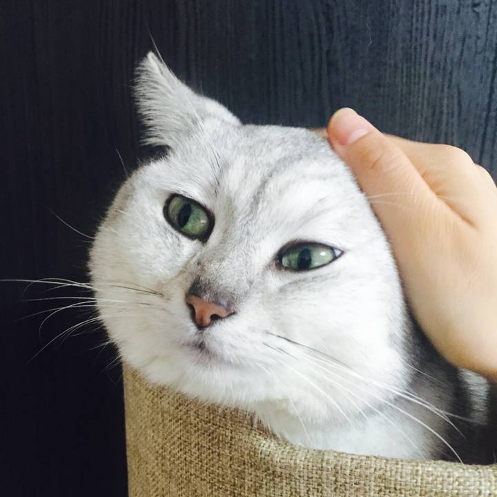 F2b4bef6 262b 4148 b11d 99f2c78e2dc1